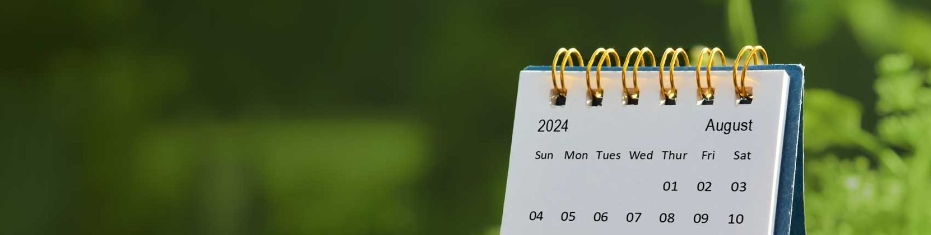 My Time: Burns Theme Night A desk calendar opened to August 2024, set against a blurred green background.